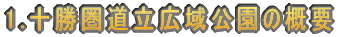 1.\L̊Tv